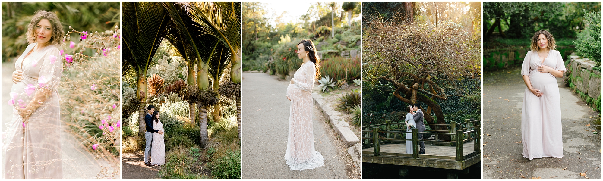  Best San Francisco Photoshoot and photography locations Bay Area Photography locations Botanical Gardens