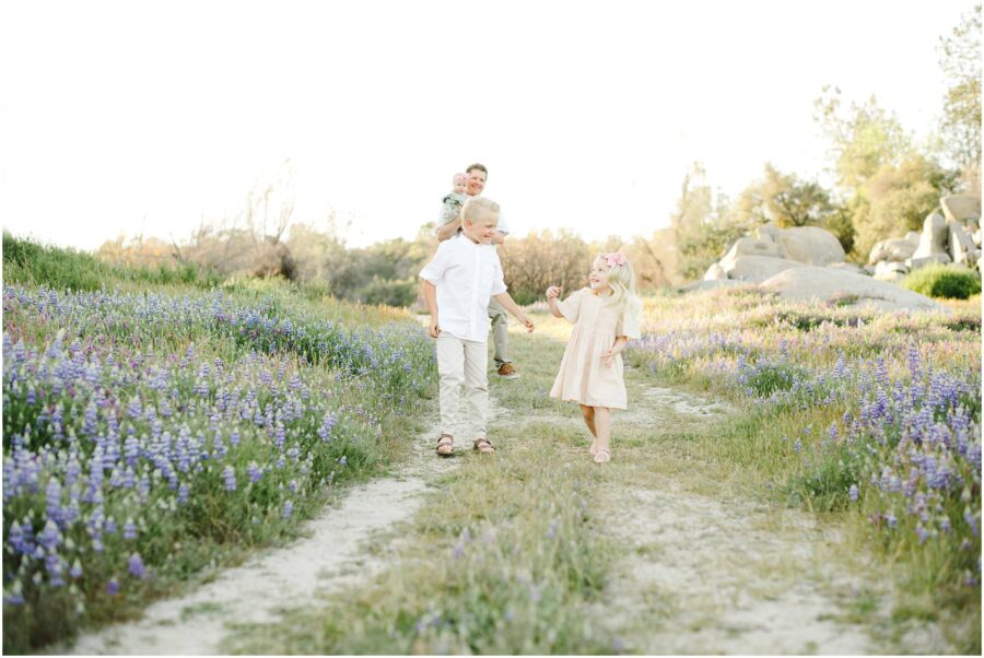 Wild flower lupine family session in San Francisco Bay Area
